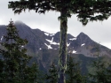 sitka03