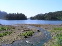 sitka05