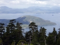sitka06