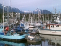sitka23